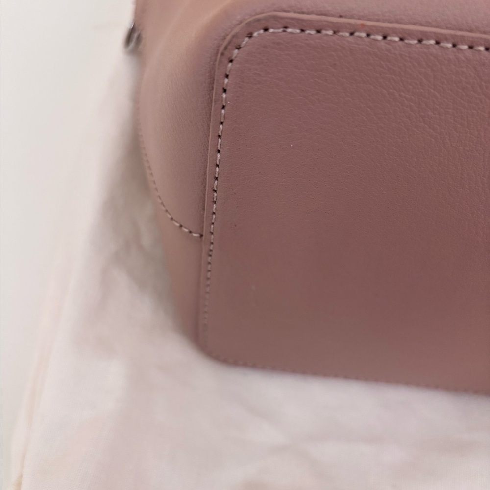 Away Women's Blush Italian Leather Latitude Travel Tote Bag - Picture 11 of 12
